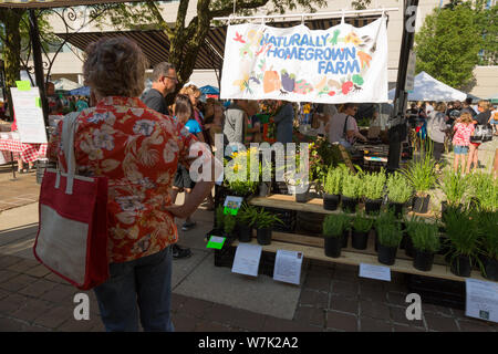 Käufer durchlesen, die Produkte aus dem Natürlich Homegrown Bauernhof auf dem Display am Fort Wayne's Bauernmarkt in der Innenstadt von Fort Wayne, Indiana, USA. Stockfoto