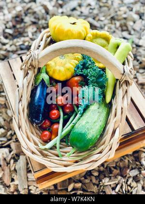 Bio Gemüse Warenkorb Hintergrund Sommer Wachstum bunte frische Lebensmittel Stockfoto