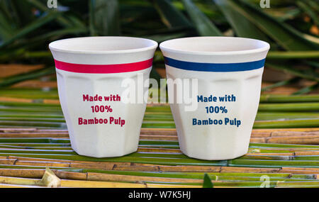 Zwei eco Mehrwegbecher aus 100% recyceltem Bambus Zellstoff aus Bambus tablett mit Bambus Blätter im Hintergrund, mit Text. Nachhaltiges Leben Stockfoto