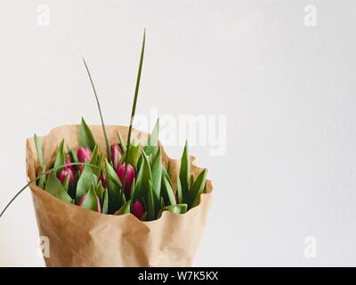 Tulpe Blume Strauß Postkarte Zimmer für Text Hintergrund schöne Blumen grün rosa und braun Stockfoto