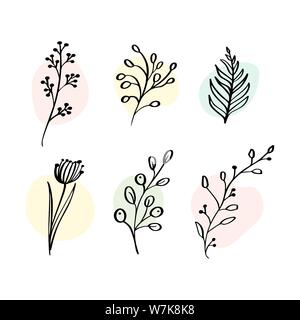Vektor-Set botanische Elemente Wildblumen, Kräuter. Sammlungsgarten und wildes Laub, Blumen, Zweige. Illustration isolierte Pflanzen auf Weiß Stock Vektor