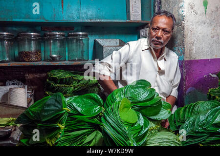 Indische Männer verkaufen betelblätter und Muttern an den Keller von KR Blumenmarkt Bangalore in Indien, einem der größten Blume Märkte in Asien Stockfoto