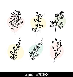 Vektor-Set botanische Elemente Wildblumen, Kräuter. Sammlung Garten und wildes Laub, Blumen, Bio. Illustration isolierte Pflanzen auf weißem Hintergrund Stock Vektor