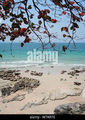 Koh Si Chang Thailand Stockfoto