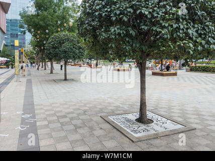 Baum Schachtdeckel mit motivierende Zitate zu lesen eingerichtet sind in Chengdu City gesehen, im Südwesten Chinas Provinz Sichuan, 29. August 2017. Baum Stockfoto