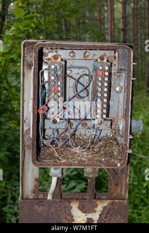 Alte elektrische Feld im Wald Stockfoto