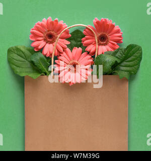 Coral Gerbera daisy flowers in Handwerk papper Shopping Bag auf grünem Papier Hintergrund, Frühling Verkauf Konzept flach Bild, quadratische Komposition mit Co Stockfoto