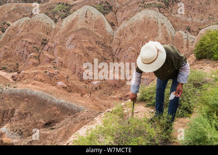 49-jährige Chinesische cleaner Zunamen Hu Müll sammelt auf einem steilen Berg an der Zhangye Danxia Relief geologischen Park in Zhangye Stadt, Nordwesten Stockfoto
