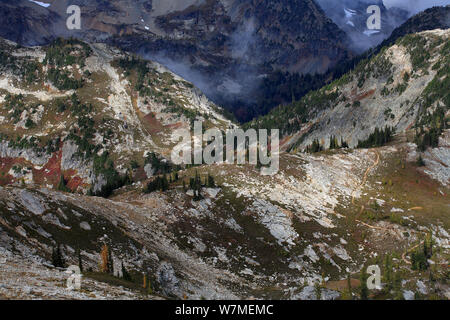 Die spektakuläre Loop-Maple Trail nach oben vom regnerischen Pass Bereich der North Cascades Scenic Highway, oberhalb der Baumgrenze, mit den Inseln von subalpine Tannen und Lärchen, North Cascades National Park Cascade Range, Washington, Oktober 2009. Stockfoto