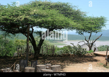 Unterhaltungsraum Shakaland Zulu Cultural Village, Eshowe, Kwazulu Natal, Südafrika Stockfoto