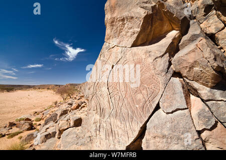 Stein Gravuren von Giraffen und Elefanten in Wadi Mathendous, Wadi Barjuj, steinige Wüste, Libyen, Sahara, Nordafrika, November 2007 Stockfoto