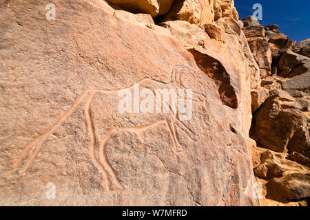 Stein Gravuren einer Antilope im Wadi Mathendous, Wadi Barjuj, steinige Wüste, Libyen, Sahara, Nordafrika, November 2007 Stockfoto