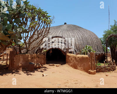 Zulu Hütte bei Shakaland Zulu Cultural Village, Eshowe, Kwazulu Natal, Südafrika Stockfoto