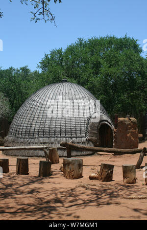 Zulu Hütte bei Shakaland Zulu Cultural Village, Eshowe, Kwazulu Natal, Südafrika Stockfoto