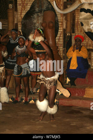 Traditionelles Zulu Tanz in Shakaland Zulu Cultural Village, Eshowe, Kwazulu Natal, Südafrika Stockfoto