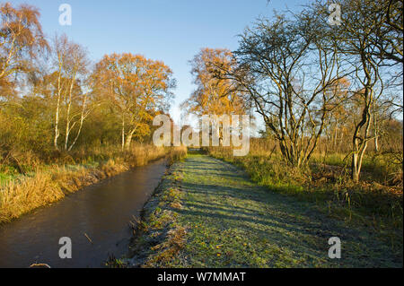 Woodwalton Fen im Winter Sonnenschein, Cambridgeshire Fens, UK, Dezember 2011 Stockfoto