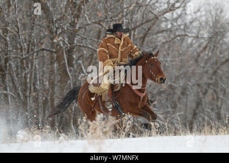 Cowboy im Galopp durch Schnee, tragen dicke Schaffell Fell, Wyoming, USA, Februar 2012, Modell veröffentlicht Stockfoto
