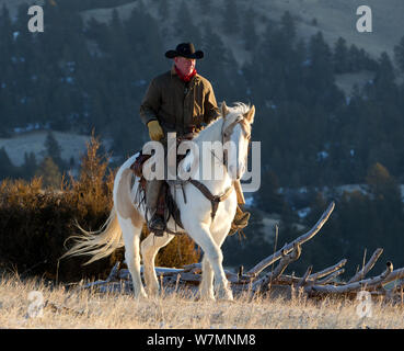 Cowboy reiten im Morgengrauen, Wyoming, USA, Februar 2012, Modell freigegeben Stockfoto