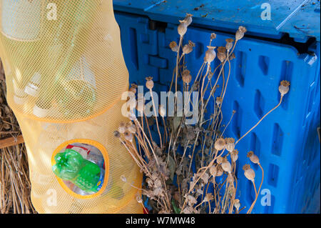 Plastikflasche Aufbereitungsstelle, Evelyn Gemeinschaftsgärten, Deptford, London, England, UK, August Stockfoto