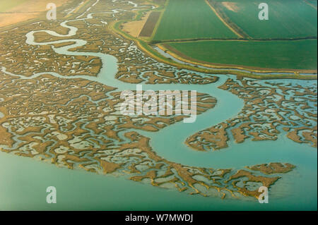 Überrest Saltmarsh und landwirtschaftlichen Flächen, Abbotts Hall Farm, Essex. VISION 2020 Buch. Stockfoto