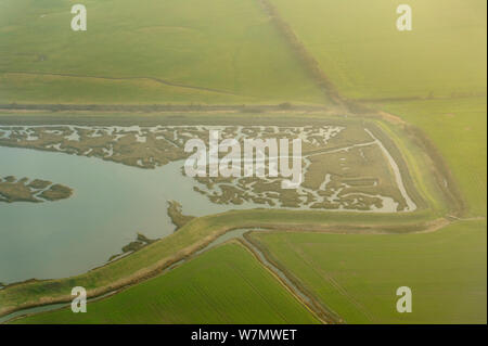 Überrest saltmarsh von landwirtschaftlichen Flächen umgeben. Abbotts Hall Farm, Essex, UK, März 2012. Stockfoto