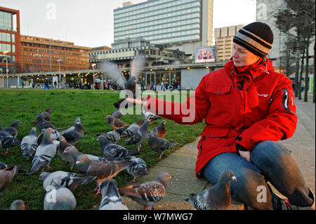 Junge Frau, die Fütterung verwilderter Tauben (Columba Livia), Manchester, England, UK, Februar. -Modell veröffentlicht. Stockfoto