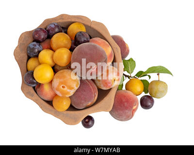 Altmodische Erbe Frucht von einem langen verlassenen Obstgarten im alten Terrakotta Schüssel. Hat natürliche Frucht. Auf weiß isoliert. Stockfoto