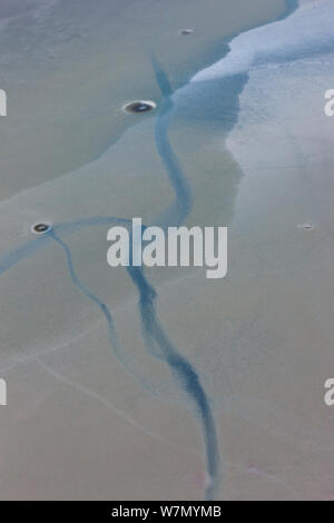 Luftbild des Lake Natron, Salz See im Rift Valley, Tansania, August 2009 Stockfoto