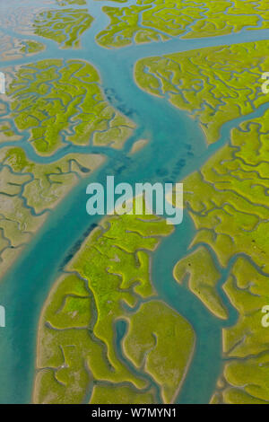 Luftaufnahme des Flusses Nebenflüssen und saladares von Bahia de Cadiz Naturpark, Huelva, Andalusien, Spanien, März 2008 Stockfoto