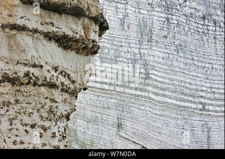 Schichten von Feuerstein in Kreidefelsen von Etretat, Haute-Normandie, Côte d'Albâtre, Frankreich, März Stockfoto