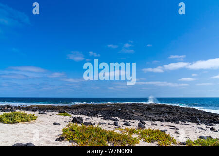 Spanien, Lanzarote, rauhen Wellen des Atlantik an der schwarzen und weißen Strand auf Nother Küste Stockfoto