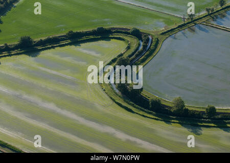 Luftaufnahme von Tracks in überfluteten Reisfeldern, Camargue, Südfrankreich, Juni 2009 Stockfoto