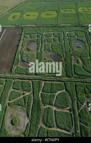 Luftaufnahme von Feuchtgebieten als die Wasservogeljagd Marsh im ehemaligen Reisfelder, Camargue, Südfrankreich, Juni 2009 verwaltet Stockfoto