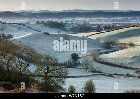 Frost bedeckt Gras Felder in der Nähe von Dorf Oborne, Dorset, England, UK. Februar 2012. Stockfoto