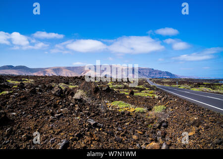 Spanien, Lanzarote, verträumte Asphaltstraße neben bizarre Lavafelder und Vegetation im Norden der Insel Stockfoto