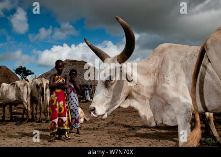 Orma Dorf, nomadisierende Stämme neben Rinder, lebend in Tana River Delta, Kenia, Ostafrika Stockfoto