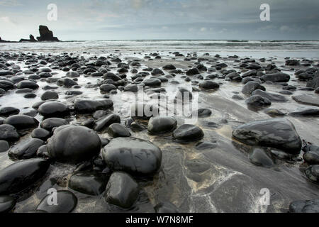 Kieselsteine am Strand. Talisker Bay, Isle of Skye, Schottland, Großbritannien, Oktober 2011 Stockfoto