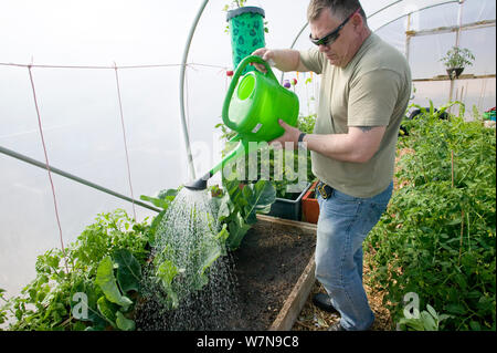Mann bei der Arbeit in polytunnel in Gemeinschaft Zuteilung auf ehemaligen Fußballplatz - Vetch field-in Swansea West Glamorgan, Wales, Großbritannien, Juni 2006. Nur redaktionelle Verwendung Stockfoto