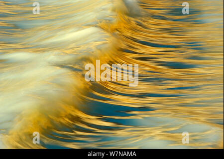 Licht Reflexion über Wave in der Ostsee, Sassnitz, Mecklenburg-Vorpommern, Deutschland, April Stockfoto