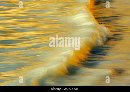 Licht Reflexion über Wave in der Ostsee, Sassnitz, Mecklenburg-Vorpommern, Deutschland, April Stockfoto