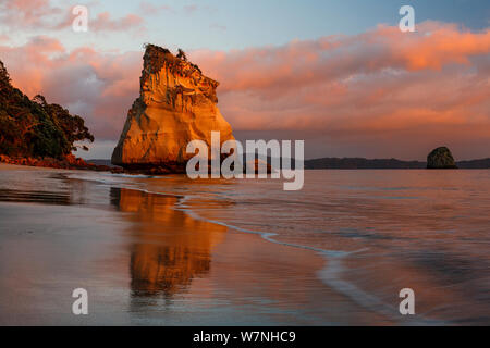 Cathedral Cove bei Sonnenaufgang, Hahei, Coromandel Halbinsel, Thames-Coromandel Bezirk, Region Waikato, Neuseeland. November, 2006. Stockfoto