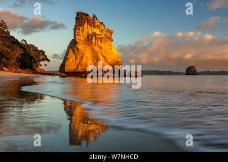 Cathedral Cove kurz nach Sonnenaufgang, Hahei, Coromandel Halbinsel, Thames-Coromandel Bezirk, Region Waikato, Neuseeland. November, 2006. Stockfoto