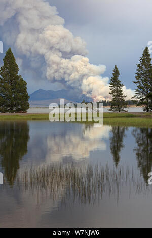 Entfernter Rauch von Waldbränden im Yellowstone National Park, Wyoming, USA steigen. September 2011 Stockfoto