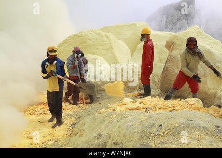 Männer arbeiten der Schwefelmine am Kawah Ijen, Java, Indonesien. Stockfoto