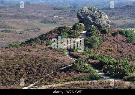 Agglestone Rock, erodiert Relikt aus Eisen zementiert tertiären Sandstein auf Godlingston Heide, Studland, Dorset, Großbritannien September 2012 Stockfoto