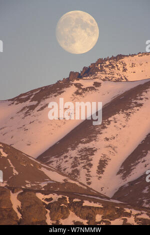 Vollmond über Tore der Arctic National Park, Brooks Range, Nordhang, Alaska, USA Stockfoto