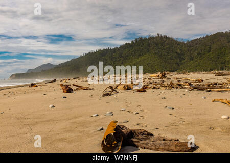 Stapel von Treibholz gewaschen an Land nach einem Sturm auf See an der Westküste der Südinsel, Neuseeland Stockfoto