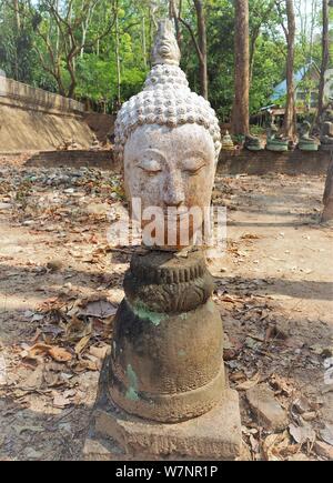 Wat Suan Phutthatham Umong Chiang Mai Stockfoto