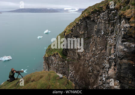 Dreizehenmöwe (Rissa tridactyla) auf einer Klippe mit dem Fotografen in der Nähe, Svalbard, Norwegen, Juli 2011 Stockfoto