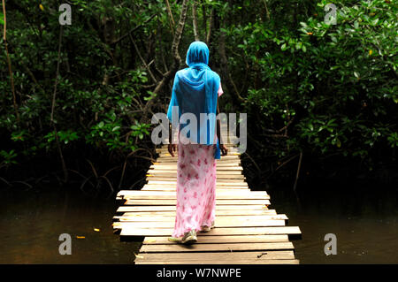 Lokale Frau gehen über Holzsteg durch die Mangroven des Jozany Wald, Insel Sansibar, Tansania, Ostafrika Stockfoto